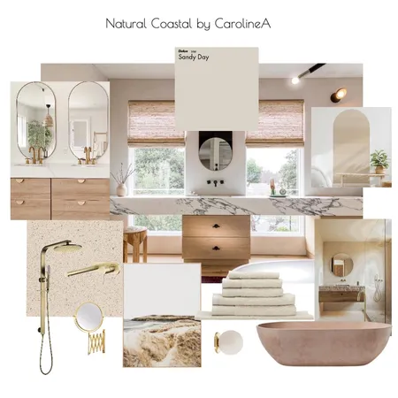 Companion Master Suite Bathroom Interior Design Mood Board by Caroline A. on Style Sourcebook
