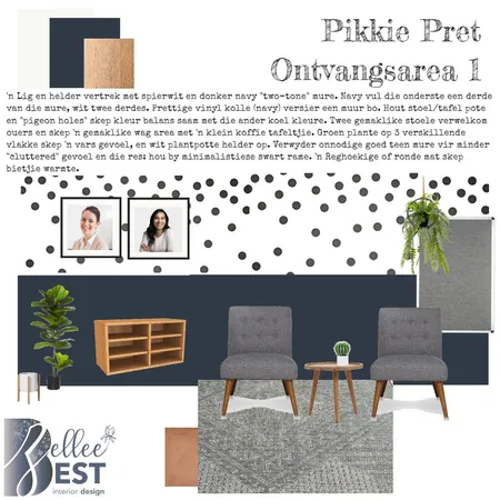 Pikkie Pret Ontvangs 1 Interior Design Mood Board by Zellee Best Interior Design on Style Sourcebook
