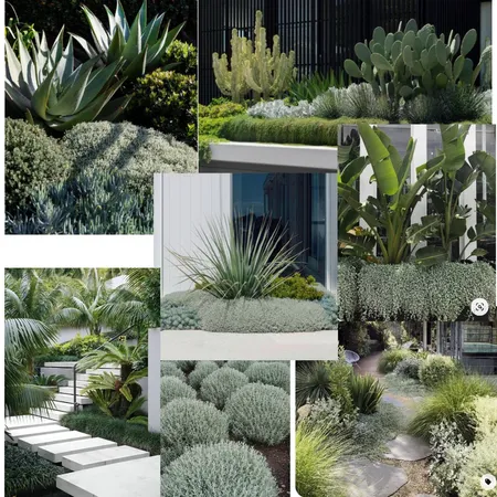 Front Garden Landscaping Interior Design Mood Board by StephW on Style Sourcebook