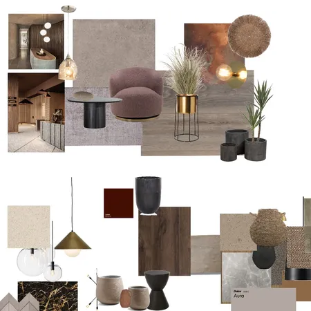 Fire & Ice Lobby Interior Design Mood Board by Cailin.f on Style Sourcebook