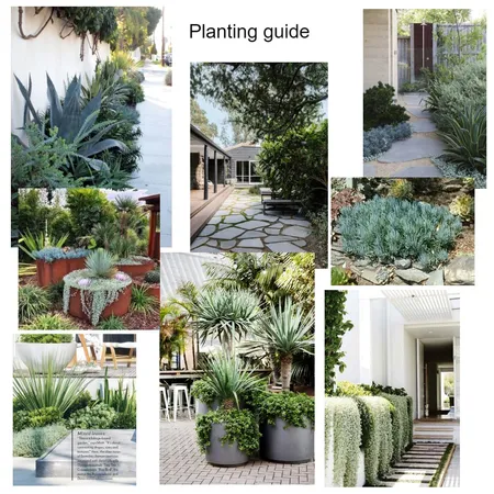 Planting guide Interior Design Mood Board by Tanya on Style Sourcebook