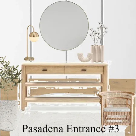 Pasadena Entrance #3 Interior Design Mood Board by The Property Stylists & Co on Style Sourcebook