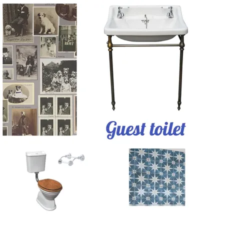 Guest Toilet Interior Design Mood Board by frankie76 on Style Sourcebook