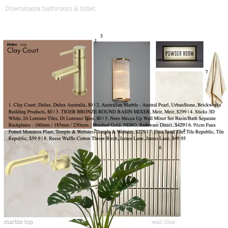 Molly's Home: Downstairs Bathroom and Toilet & tags Interior Design Mood Board by Elisenda Interiors on Style Sourcebook