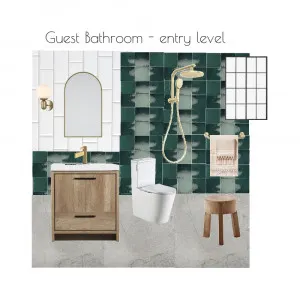 Guest bathroom off entry level Interior Design Mood Board by erick on Style Sourcebook