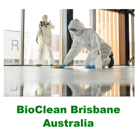 House Clean up Services - Bio Clean Brisbane Interior Design Mood Board by biocleanbrisbane on Style Sourcebook