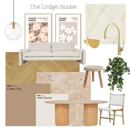 Lodge Client Assessment Interior Design Mood Board by schiodo01 on Style Sourcebook