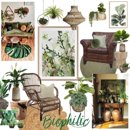 Biophilic Interior Design Mood Board by Lucey Lane Interiors on Style Sourcebook