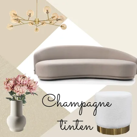 Champagne tinten Interior Design Mood Board by N.Schipper on Style Sourcebook