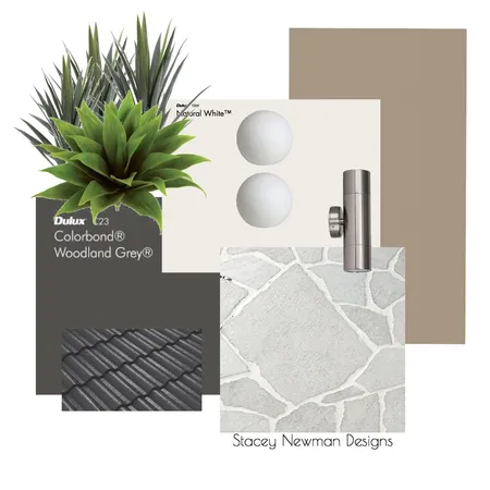 Excelsior Exterior Colour Scheme Interior Design Mood Board by Stacey Newman Designs on Style Sourcebook