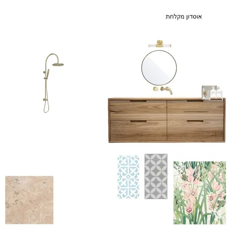 אוסדון מקלחת 1 Interior Design Mood Board by merav rozilio on Style Sourcebook