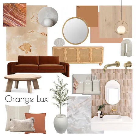 orange Lux Interior Design Mood Board by Elizabeth G Interiors on Style Sourcebook