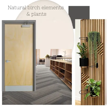 Resolve Natural Birch look Interior Design Mood Board by Annalei May Designs on Style Sourcebook