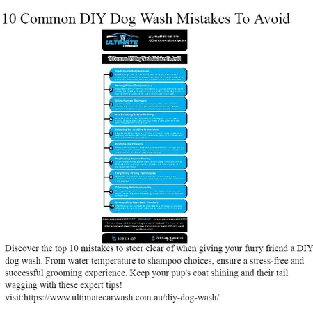 10 Common DIY Dog Wash Mistakes To Avoid Interior Design Mood Board by Ultimatecarwash on Style Sourcebook