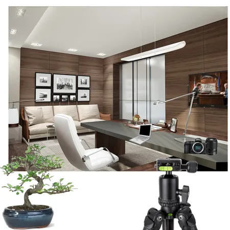 Concept Home Office Interior Design Mood Board by vreddy on Style Sourcebook