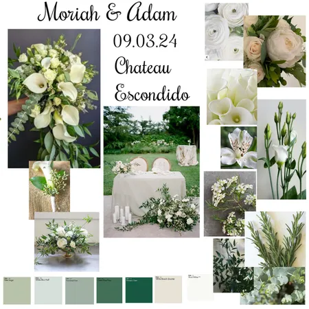 Moriah & Adam 09.03.24 Revised Mood Board Interior Design Mood Board by botanicalsbykb@gmail.com on Style Sourcebook