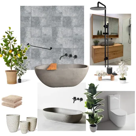 Steelton bathroom Interior Design Mood Board by lisadoecke on Style Sourcebook