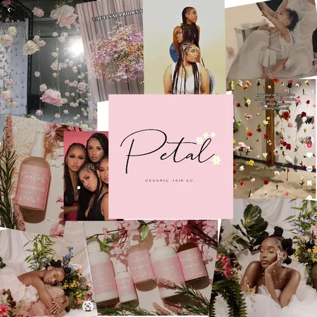 Petal Photoshoot 2023 Relaunch Interior Design Mood Board by Pinkthegirl on Style Sourcebook