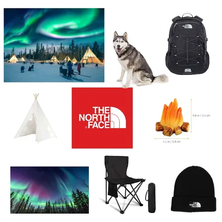 The North Face Project Interior Design Mood Board by Ίνα on Style Sourcebook