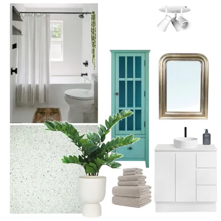 Bathroom reno inspo Interior Design Mood Board by Sonya Ditto on Style Sourcebook
