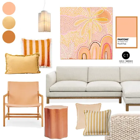 Pantone Peach Interior Design Mood Board by Carly Thorsen Interior Design on Style Sourcebook