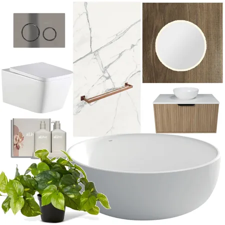 minimalism in a small bathroom Interior Design Mood Board by sdd1kiev@gmail.com on Style Sourcebook