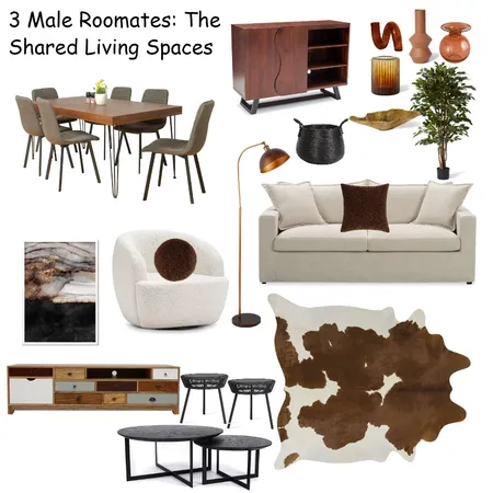 3 male roomates: shared living space Interior Design Mood Board by Beverly Ladson on Style Sourcebook