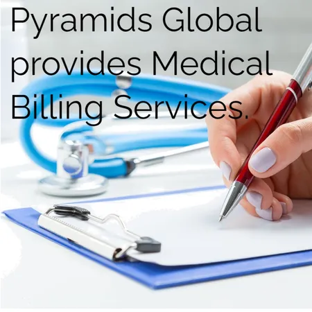 Best Medical Billing Services Interior Design Mood Board by Pyramids Global on Style Sourcebook