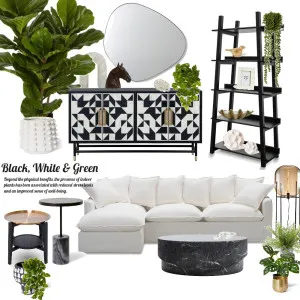 Black, White & Green Interior Design Mood Board by Maria kandalaft on Style Sourcebook