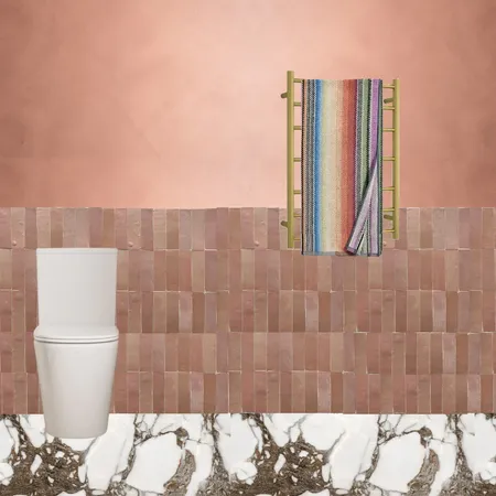 Terracotta Bathroom2 Interior Design Mood Board by dl2407 on Style Sourcebook