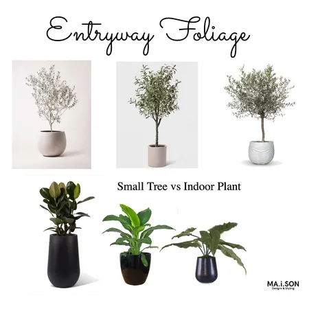 Entryway - Indoor Plants or Small Indoor plants Interior Design Mood Board by JanetM on Style Sourcebook