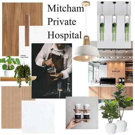 Mitcham Private Hospital #2 Interior Design Mood Board by Gigi27 on Style Sourcebook