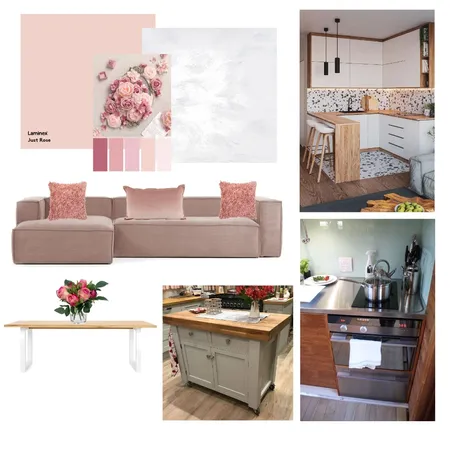 Kaz - Pink Rose Concept - Apartment living. Interior Design Mood Board by Beck Bekkers on Style Sourcebook