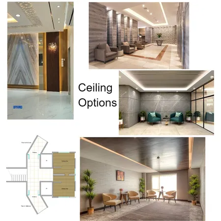 Bandra Lobby Ceiling Options Interior Design Mood Board by Aisha.I.Maniyar on Style Sourcebook