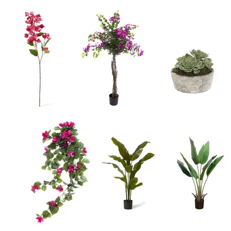 Plants Interior Design Mood Board by humanhazel on Style Sourcebook