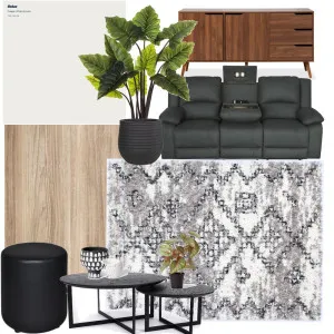 Liz's lounge Interior Design Mood Board by karenc on Style Sourcebook