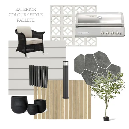 EXTERIOR - SOCIAL HOUSING Interior Design Mood Board by renaecotter2012@gmail.com on Style Sourcebook