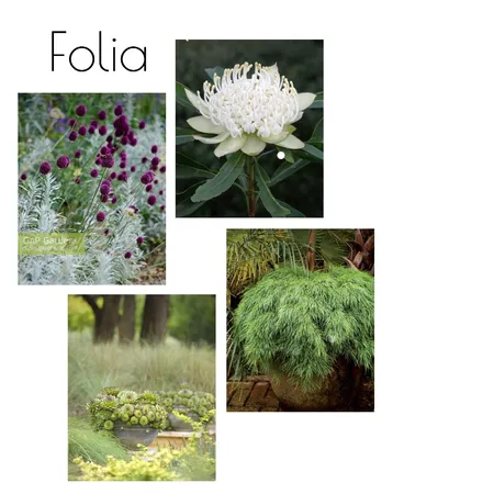 Folia Interior Design Mood Board by Folia on Style Sourcebook