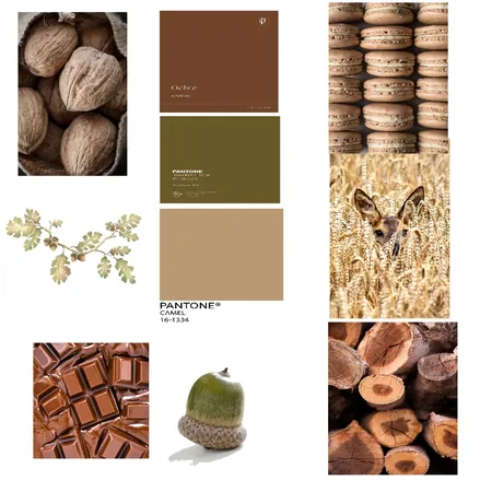 Warm & Comforting Nature Interior Design Mood Board by rachelguerin1@gmail.com on Style Sourcebook