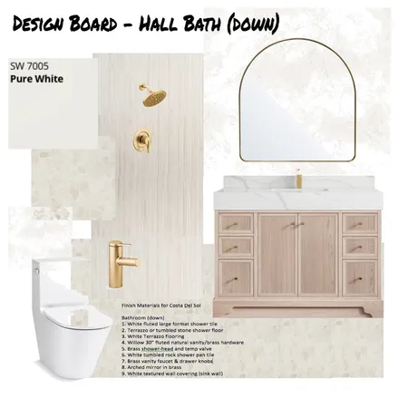 CDS Hall Bath (down) Design Board Interior Design Mood Board by MicheleDeniseDesigns on Style Sourcebook