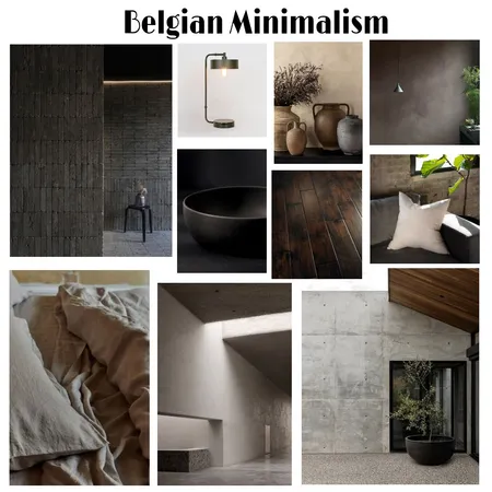 Belgian Minimalism Interior Design Mood Board by NeffAlejandre on Style Sourcebook