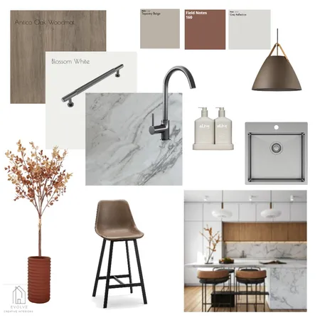 Regina St Kitchen Interior Design Mood Board by Evolve Creative Interiors on Style Sourcebook
