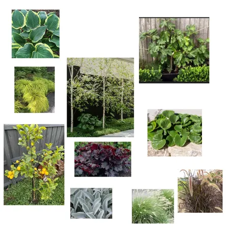 plants Interior Design Mood Board by Susan Conterno