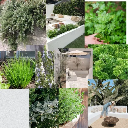 Firepit + Herb garden Interior Design Mood Board by Makiah Pippen on Style Sourcebook