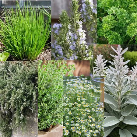 Herb Garden Interior Design Mood Board by Makiah Pippen on Style Sourcebook