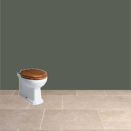 downstairs toilet blue house Interior Design Mood Board by Caroline Dadswell on Style Sourcebook