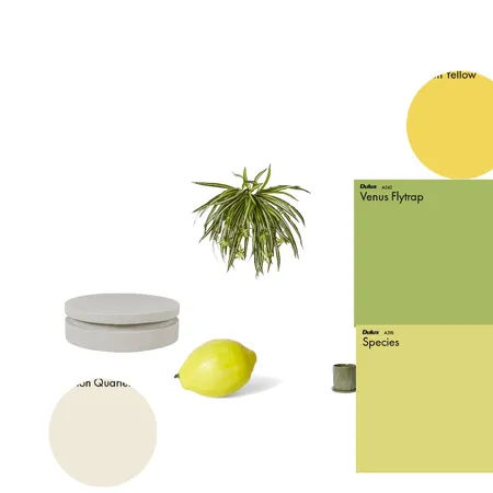 PROCESO Interior Design Mood Board by jazminsoroka@gmail.com on Style Sourcebook