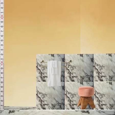 Bathroom Interior Design Mood Board by dl2407 on Style Sourcebook