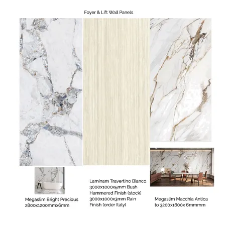 Foyer & Lift Wall Interior Design Mood Board by Lets See Design on Style Sourcebook
