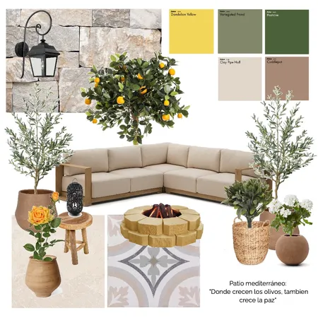 Patio Mediterraneo 5 especies Interior Design Mood Board by osopanda1289 on Style Sourcebook